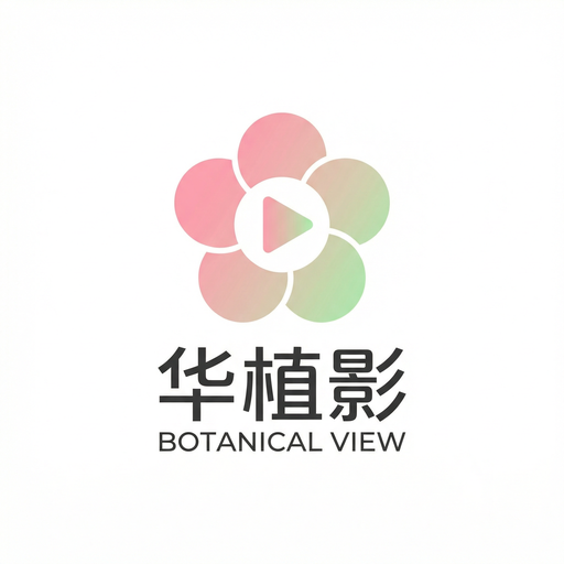 抖阴